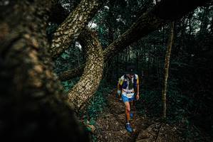 BIB: 
                            <button type="button" onclick="openModal(25699809)" class="btn btn-primary btn-sm float-right btn-popup" data-toggle="modal" data-target=".modal-high-quality">
                        <i class="fas fa-shopping-cart"></i> Add to Cart
                    </button>
                                            <button type="button" onclick="isThisMe(25699809, true)" class="btn btn-success btn-sm float-right btn-popup btn-isme hidden" data-toggle="tooltip" data-placement="bottom" title="นี่คือรูปของคุณใช่ไหม คลิกที่นี่เพื่อเอาเข้าอัลบั้ม">
                        <i class="fas fa-plus"></i> Add to album
                    </button>
                    <button type="button" onclick="isThisMe(25699809, false)" class="btn btn-warning btn-sm float-right btn-popup btn-isnotme hidden">
                        <i class="fas fa-ban"></i> Remove from album
                    </button>